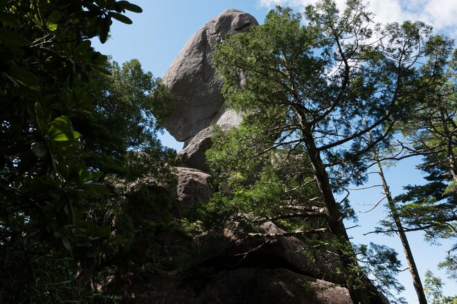 【首都圏近郊おすすめルート】金峰山へと続く幻の古道「御嶽道」が想像以上に素晴らしい！  実地踏査レポートの画像011