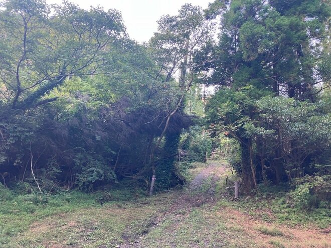 【首都圏近郊】1時間で登れるとは思えない絶景！  房総のマッターホルンこと「伊予ヶ岳」は今からのシーズンがおすすめの画像026