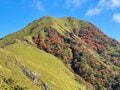 【外国人の私が感動した日本の紅葉】10月中旬以降も間に合う「おすすめ紅葉登山スポット」5選【日本で山登りはじめました vol.10】の画像002