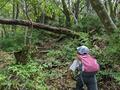 「もう帰りたい！」を「また行きたい！」に変えるモチベーションを爆上げする「子連れ登山術」9つのコツの画像004