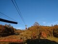 【2024年10月 第4週】今週末の紅葉の見ごろは？  名所＆人気スポットの最新情報をお届け「WEEKLY紅葉ニュース」の画像013