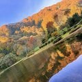 【2024年11月 第1週】今週末の紅葉の見ごろは？ 名所＆人気スポットの最新情報をお届け「WEEKLY紅葉ニュース」の画像009