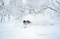 パウダーを狙うなら外せない！ 世界トップクラスの雪が間違いなく楽しめるエリア「北海道パウダーベルト」を知っていますか？