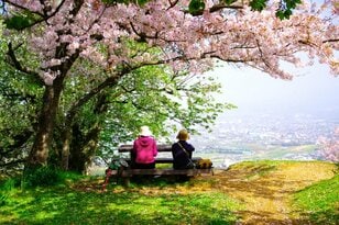 初心者も熟練者も満足度高し！「桜と絶景と気持ちのいい尾根道」を楽しむ低山ハイク＜前編・沼津アルプス＞【今日も山旅気分 vol.18】