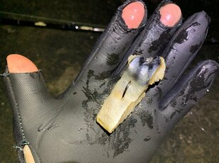 入手は簡単、冷凍もできる！「サバの切り身こそ最高の釣りエサ」説は本当か？  「冬の夜釣り」でリアル検証した「意外すぎる釣果」とは？