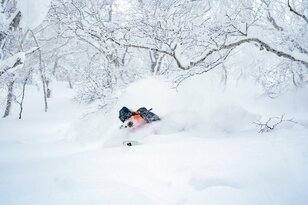パウダーを狙うなら外せない！ 世界トップクラスの雪が間違いなく楽しめるエリア「北海道パウダーベルト」を知っていますか？