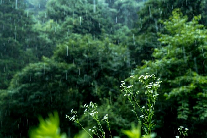 【渓流釣り】「雨降らなさすぎでしょう」 通らずのゴルジュも難なく突破！  釣果には満足できたけど、渇水で盛夏が心配になったフライフィッシング  2025年の画像008