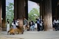 シカまたシカの寺町はミニベロ散策にぴったり！  クルマ＋ブロンプトンで行く古都・奈良の世界遺産【ゆる6輪の旅 vol.04 奈良「東大寺周辺」】の画像005