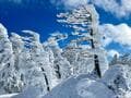 「登山との出会い」夢ナシ趣味ナシの「運動オンチ・40代主婦」が「生きがい」とするまで「登山歴10年目」突入ライター体験レポの画像003