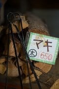 針葉樹と広葉樹の違いってわかる？  覚えて焚き火が上達する「薪の違い」【焚き火の話 vol.20】の画像006