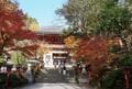 京都「紅葉の奥座敷・パワースポットめぐり」約2時間ハイキング！  源義経ゆかり「鞍馬寺」から、イベント盛りだくさん「貴船神社」錦秋レポの画像004