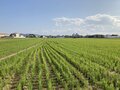本州最南端で全国最短の“私鉄路線”  和歌山県御坊市内を走る「紀州鉄道」の沿線を歩く【関西鉄道路線周辺曼荼羅 vol.21  御坊駅から紀伊御坊駅】の画像002