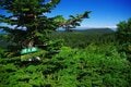「8月は北の高原へ」 広大な森と変化に富む湿原を気持ちよく歩く＜日本百名山・八幡平＞【月めくりの低山カレンダー #08】の画像002