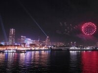 横浜最大級のイルミネーションイベント【ヨルノヨ2023】で「ヨルノトリ」を観察！  夜のバードウォッチングは楽しみがいっぱい  神奈川県