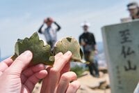 美味しいだけじゃダメ！？  登山「行動食」の選び方！ 「飽きない＆ササッと」食べる「エネルギー補給ワザ」実践レポ