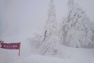 日本三大樹氷「森吉山の樹氷」スノーモンスターの絶景！ 秋田「阿仁スキー場」ゴンドラ利用「周回20分・3世代OK」樹氷平ハイキングレポ