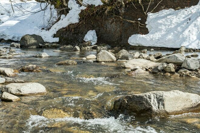 【渓流釣り】待望の解禁日 「異常な雪の少なさ！  いきなり尺一寸イワナが登場」 白馬・小谷｜2026年3月1日の画像002
