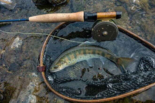 【渓流釣り】沈めて浮かせて……「そっぽを向かれても無視されても、夢中で誘い続けたフライフィッシング！」 神流川・群馬県上野村｜2026年の画像003