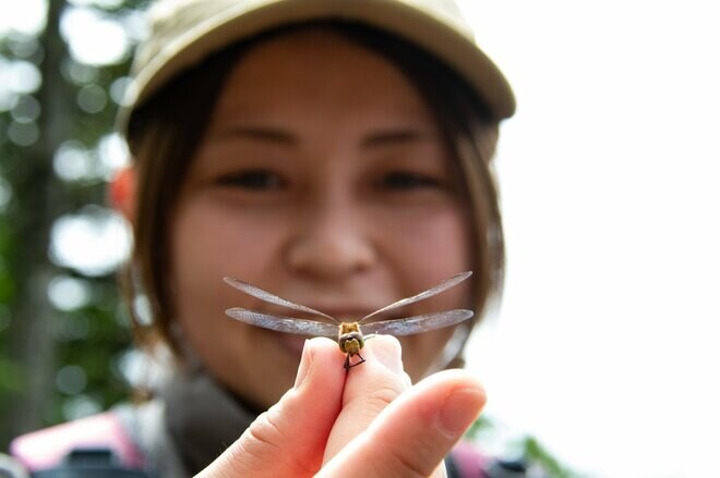 【山形県・天元台ナビ】山形の避暑地「夏の天元台高原」は楽しみがいっぱい！  天空のアウトドアアクティビティ、絶景スポット、食にお酒に温泉など魅力をまとめて紹介！の画像003