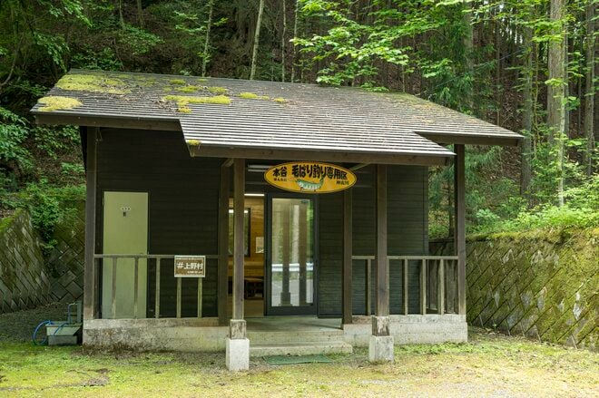 【渓流釣り】渇水でシビアだったけど尺上ヤマメや極太イワナが顔を見せてくれた！  緑美しい上野村の神流川でフライフィッシング  群馬県｜2026年の画像004
