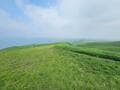 夏こそ見たい「阿蘇山」の絶景！  1000年以上守られてきた、日本一の面積を誇る「大草原」＆世界有数の大カルデラ・圧巻の中岳火口の画像002