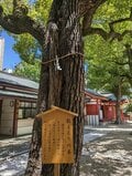 御霊はんで美肌について祈るはずが「おみくじ」で老後の貯えの大切さを思い知る【関西おみくじジャーニー vol.17「御霊神社」／大阪市中央区】の画像006