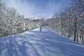 絶景テラスは白馬随一の集客スポット「白馬岩岳マウンテンリゾート」、日本を代表する名門リゾート「軽井沢プリンスホテルスキー場」【この冬行くべき、体験すべき！ スノーリゾート特集 vol.2】の画像007