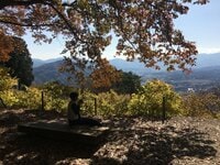 “秋山”最強コンボ【紅葉と渓谷トレッキング・第2回】首都圏からアクセス抜群の紅葉パワースポット！ 長瀞アルプスの主峰「宝登山」