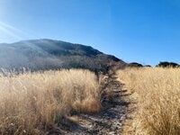 富士山との距離約12kmの近さ！  スケール感に圧倒される愛鷹連峰「越前岳」からの絶景！  山頂の向こうには「駿河湾」の大パノラマ「2月・登山レポ」