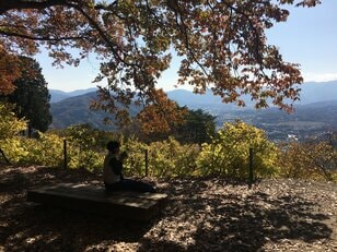 “秋山”最強コンボ【紅葉と渓谷トレッキング・第2回】首都圏からアクセス抜群の紅葉パワースポット！ 長瀞アルプスの主峰「宝登山」