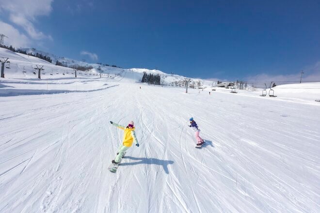 【雪山デビューに最適なスキー場 2025-26シーズン】滑りやすいコースが多く安心して練習できる新潟・群馬の「初心者におすすめのスキー場」7選の画像