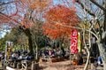 一度は行きたい！  紅葉シーズンの「高尾山」見ごろ＆混雑ピーク「11月攻略」には「早朝ハイキング」が最適！  絶景満喫レポの画像007