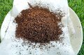 「豆挽きからドリップまで」オール完結でスタッキング可能「100均ダイソー」の「アウトドアコーヒーメーカーカップセット」は本当に使えるのか？の画像002