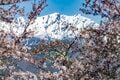白銀の北アルプスに春の風物詩が出現！ お花見とセットで楽しめる“雪形”探し 【長野県 2024年】の画像003