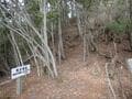眺望抜群！ 難攻不落の山城跡「荒木城跡」急傾斜でも整備OK！  35分の低山ハイキング＆その先 “謎だらけ？” の「燈明寺」とは「実踏レポ」【兵庫県丹波篠山市】の画像007