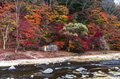 【紅葉流れる渓谷美】「箒川キャッチ＆リリースエリア」で紅に染まるニジマスを狙う！ 2022年《栃木県》の画像001