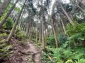 【夏の低山は早朝勝負！】梅田駅からわずか小一時間の国見山＆枚方の最高峰 “サンドイッチ山” で「サクっとモーニング歴史山歩（サンポ）」【里山アドベンチャー！ソトアソ日和 vol.5】の画像005