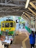 冬に開く“氷の花”！ 「霜柱」ではない「シモバシラ」を探しに初冬の高尾山へ【最後の最後に出会えた氷の芸術品“氷華”】東京都・2023年の画像004