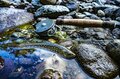 【渓流釣り】県境を流れる深い渓・イワナのライズ狙い！ 「ドキドキ・ワクワク…… 謎解き気分で通った初夏の志久見川」 2022年の画像003