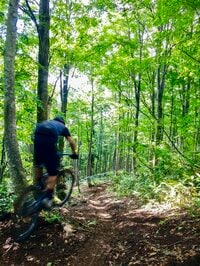 冬だけの遊び場じゃない！ 野沢温泉のグリーシーズン2021開幕【MTB編】