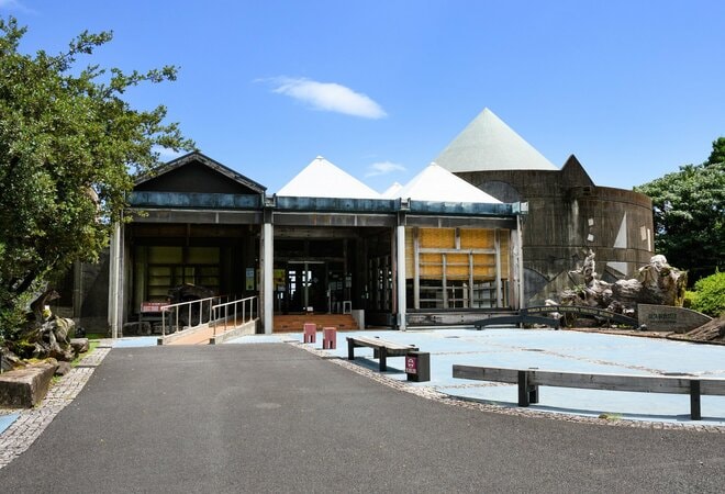 【世界自然遺産・屋久島】 屋久島をレンタカーで一周するドライブ旅「千尋の滝・大川の滝・ガジュマル・西部林道」を一日でめぐる！の画像005