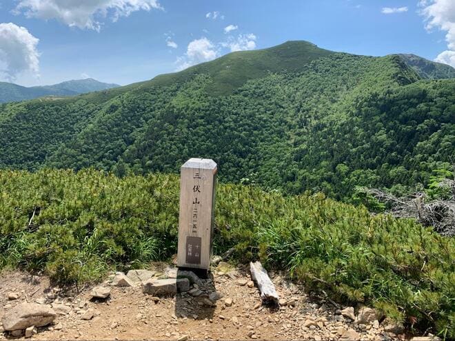 長丁場になりがちな「南アルプス」登山だけど、「三伏峠」なら日帰りでも十分に楽しめる！  片道約3時間・標高2,580mの大パノラマ「絶景レポ」の画像004