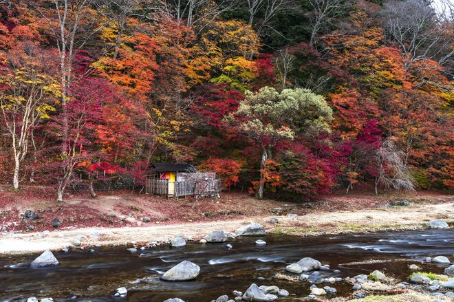 【紅葉流れる渓谷美】「箒川キャッチ＆リリースエリア」で紅に染まるニジマスを狙う！ 2022年《栃木県》の画像001