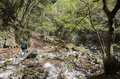 【首都圏近郊】まだ間に合うお花見登山「西丹沢・畦ヶ丸山」は桜だけじゃない欲張りプランを楽しめるんです！の画像011