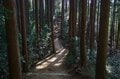 ＜電車でOKの丘陵ハイク＞低い山を長く歩くのが気持ちいい！「首都圏近郊」ゆるやかな丘陵トレイル2選【今日も山旅気分 vol.29】の画像003