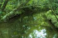 本州で釣れるのは日光・湯川だけ！「フライフィッシングの聖地」で狙うブルックトラウトの画像017