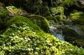 心ときめく！ 花盛りの伊那谷へ「山で、里で、春の渓流フライフィッシングを満喫」 【長野県・天竜川水系】の画像002