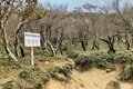 秋を彩る鮮やかな紅葉で人気！  シーズン中は20万人が訪れる「御在所岳」 裏登山道コースで往復「11月上旬・登山レポ」の画像008