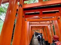 登山と観光どちらも楽しめる！「京都一周トレイル」 伏見稲荷から蹴上駅まで「東山コース」 セクションハイクの見どころ