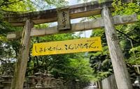 参拝というより「山登り」？  四国・香川県「こんぴら山」奥社までの「石段1368段」を現地在住ライターが踏破した結果